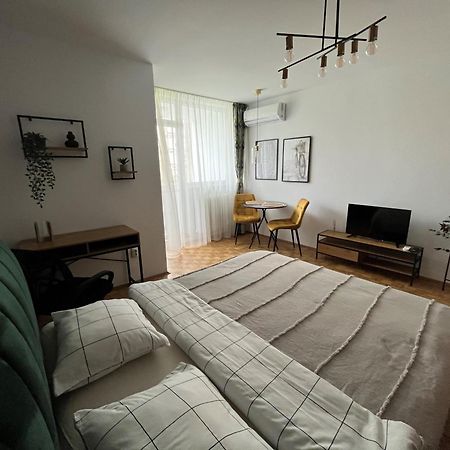 C & A Apartments 克卢日-纳波卡 外观 照片